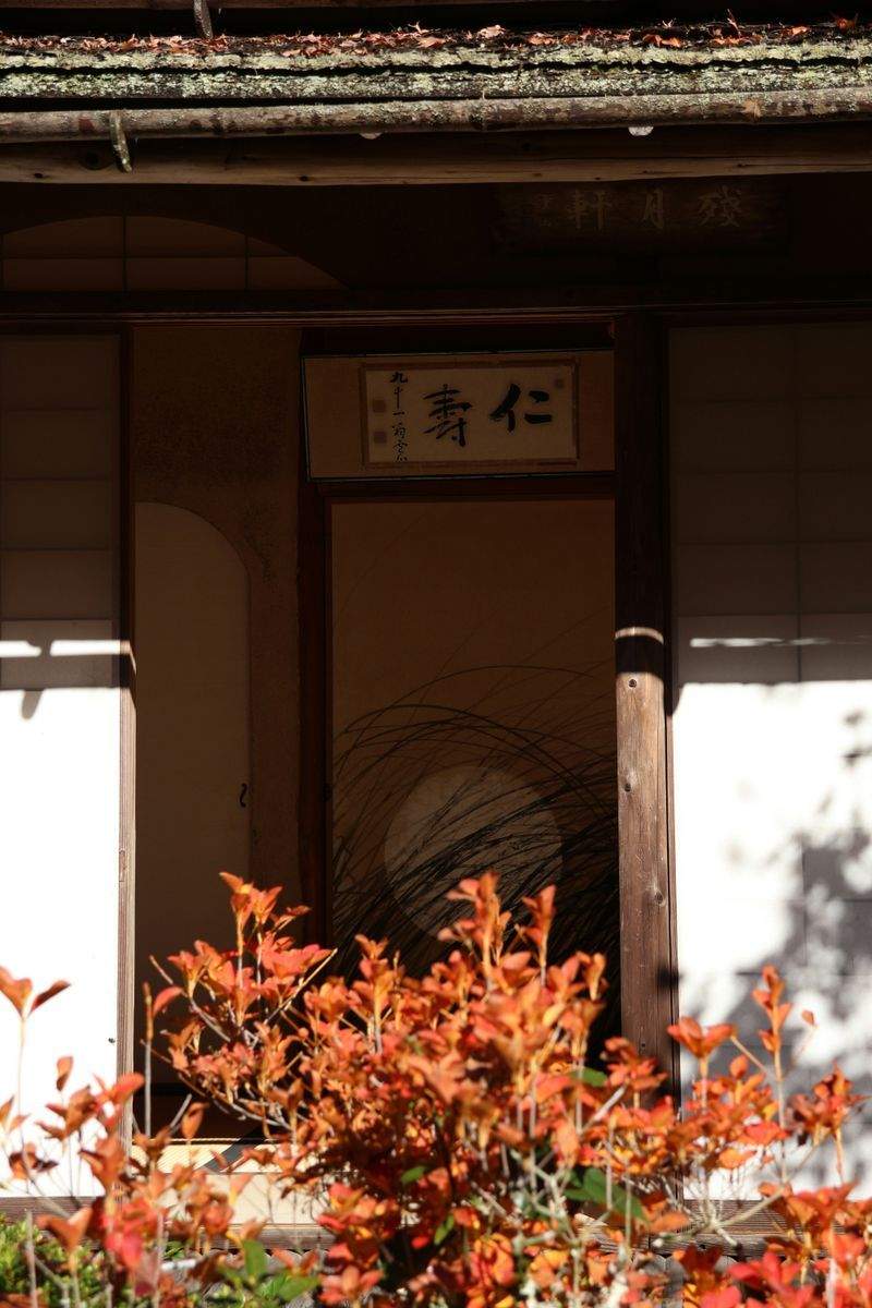 Arte Calligrafica Italiana - Image 12